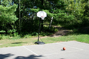 basket-ball